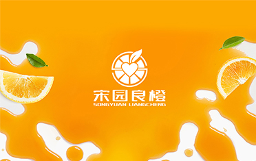 某良橙——巴中LOGO设计